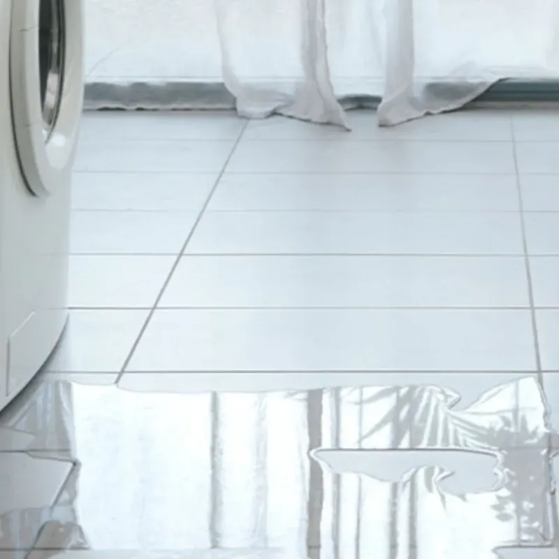 Appliance Leak Cleanup in Lula, GA