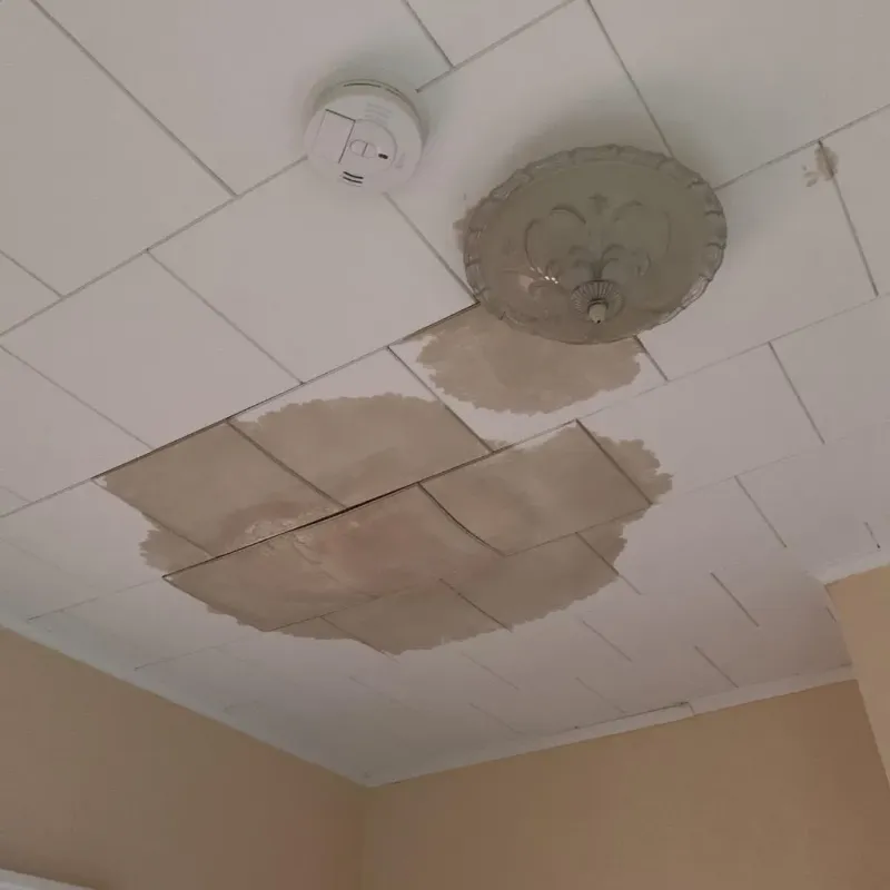 Ceiling Water Damage Repair in Lula, GA