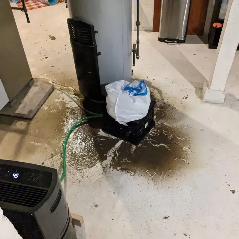 Sewage Backup Cleanup Service in Lula, GA